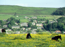 England-England-Exmoor National Park Ride